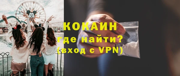 крисы Алзамай