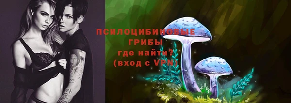 дмт Саяногорск