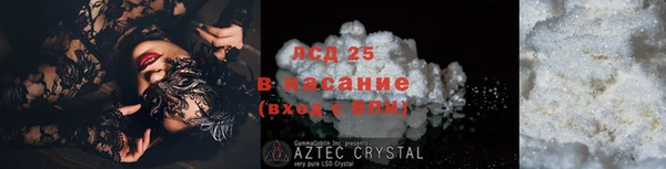 крисы Алзамай