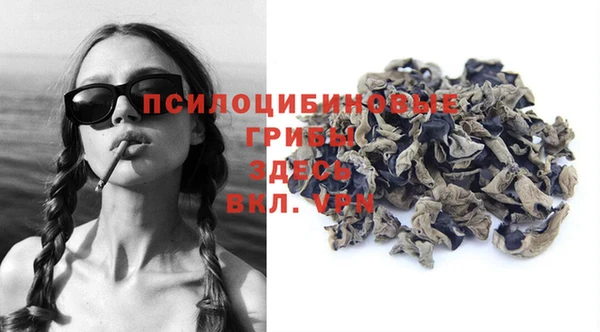 крисы Алзамай