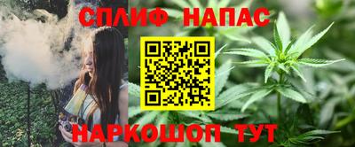 стафф Краснознаменск