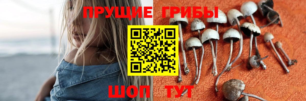 Псилоцибиновые грибы Psilocybine cubensis  Вход с VPN  Котельники 